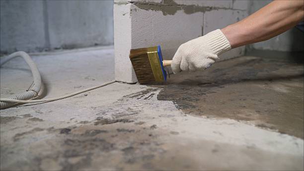 SJ Waterproofing Pros Waterproofing coverage map for Gowen, MI and surrounding area